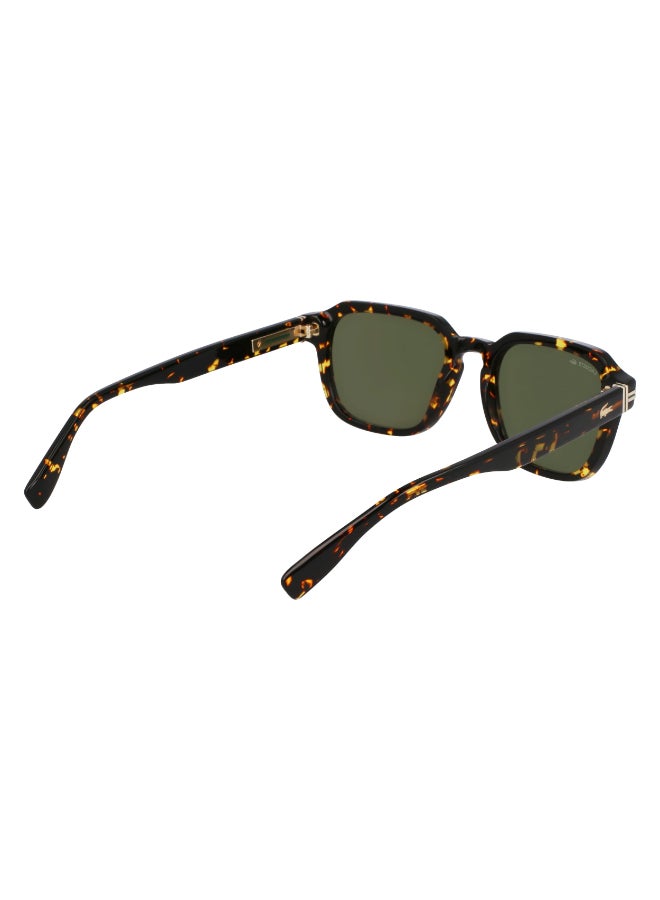 LACOSTE نظارات شمسية لاكوست كاملة الإطار من الأسيتات L6046S N 5220 (230) داكن هافانا - Image 5