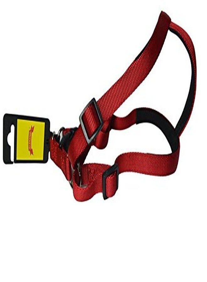 Glenand Harness 1 Inch Red Colour, Large, 100 g
