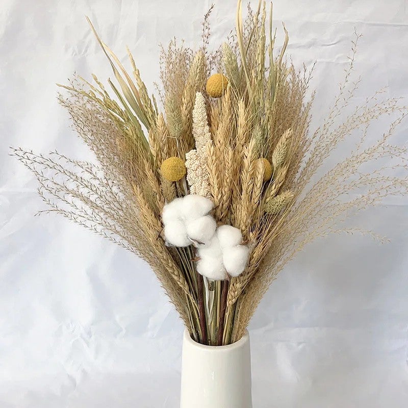 Bluejw DREA Dried Flowers Bouquet - Natural Pampas Grass & Dried Plants for Home Decor, Bohemian Wedding & Rustic Arrangements - Image 5