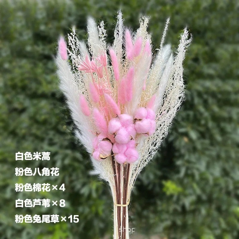 Bluejw DREA Dried Flowers Bouquet - Natural Pampas Grass & Dried Plants for Home Decor, Bohemian Wedding & Rustic Arrangements - Image 2