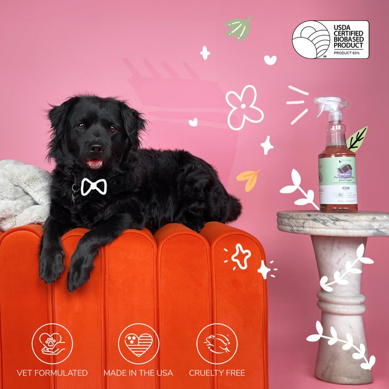 kin+kind Pet Odor Eliminator for Home - Litter Deodorizer, Pet Urine Odor Eliminator Spray and Stain Remover Spray for Harwood Floods, Carpet and Fabric - Pee, Odor and Stain Destroyer 32 fl oz - Image 5