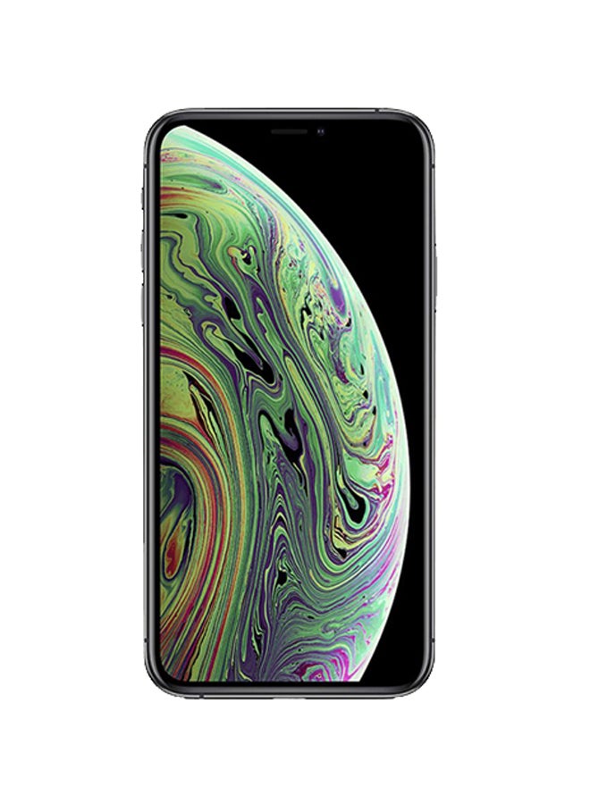 ابل  مُجدد- هاتف آيفون XS مع تطبيق فيس تايم بذاكرة داخلية 256 جيجابايت ويدعم تقنية 4G LTE بلون رمادي فلكي - Image 2