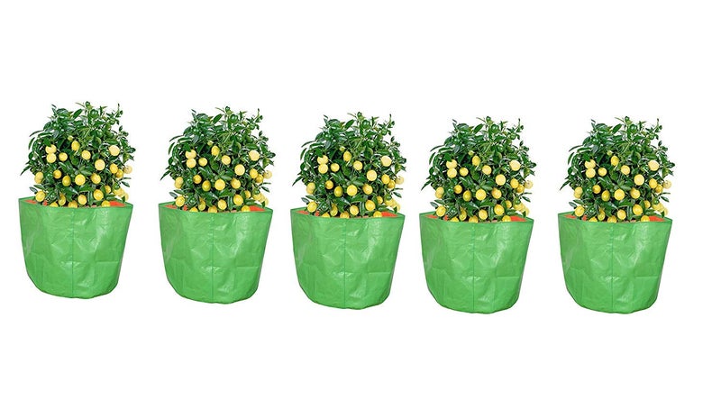 COIR GARDEN Green Grow Bags for Terrace Gardening 18" X 18" inch Pack of 5 - Image 1