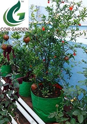 COIR GARDEN Green Grow Bags for Terrace Gardening 18" X 18" inch Pack of 5 - Image 4