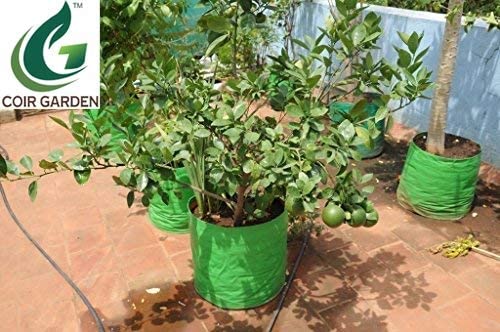 COIR GARDEN Green Grow Bags for Terrace Gardening 18" X 18" inch Pack of 5 - Image 3