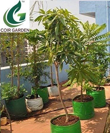 COIR GARDEN Green Grow Bags for Terrace Gardening 18" X 18" inch Pack of 5 - Image 2