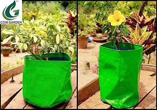 COIR GARDEN Green Grow Bags for Terrace Gardening 18" X 18" inch Pack of 5 - Image 5