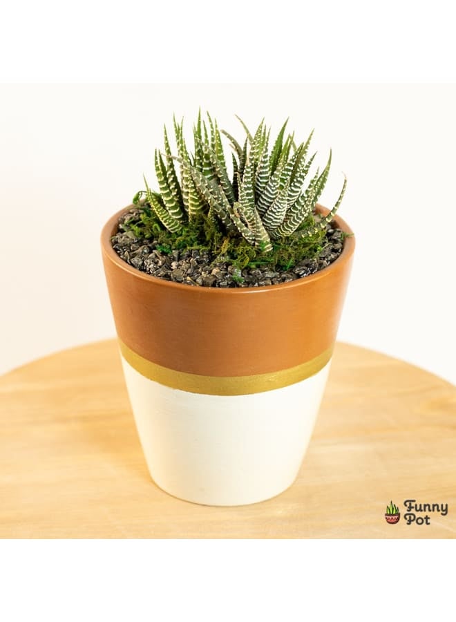 Cactus pottery pot