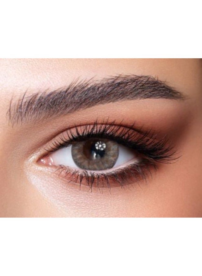 Bella One Day Rose Wood Pack Of 10 Daily Disposable Colored Contact Lenses Unisex Cosmetic Contact Lenses - Image 1