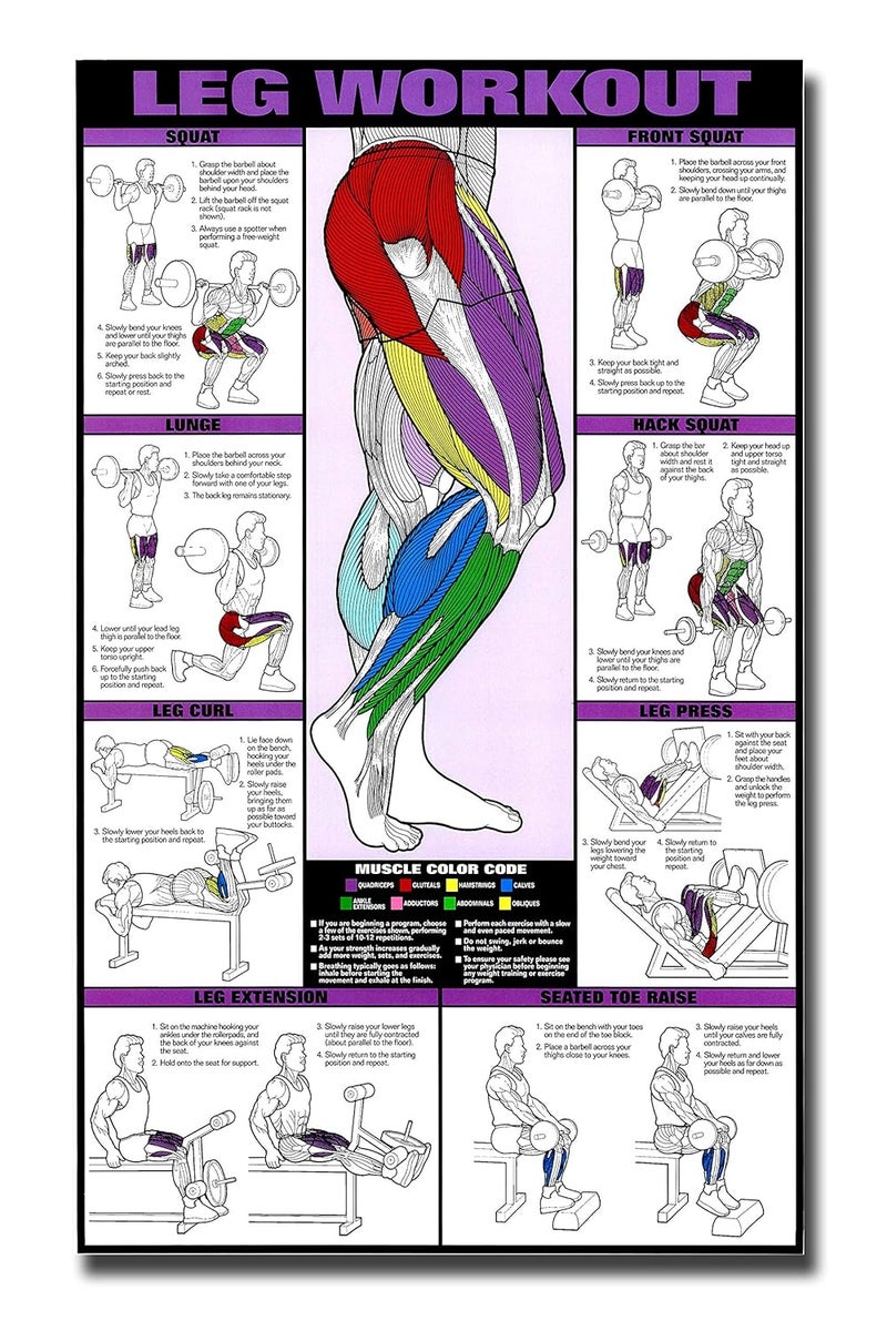 PIXELARTZ ملصق حائط أرجل وفخذين تحفيزي تمارين ورسوم توضيحية كمال الأجسام ملصقات جيم بجودة HD للمنزل، المكتب، الغرفة، جدار الجيم - متعدد الألوان (605) - Image 1