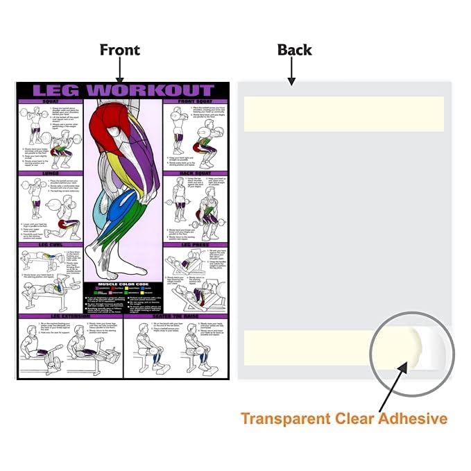 PIXELARTZ ملصق حائط أرجل وفخذين تحفيزي تمارين ورسوم توضيحية كمال الأجسام ملصقات جيم بجودة HD للمنزل، المكتب، الغرفة، جدار الجيم - متعدد الألوان (605) - Image 5