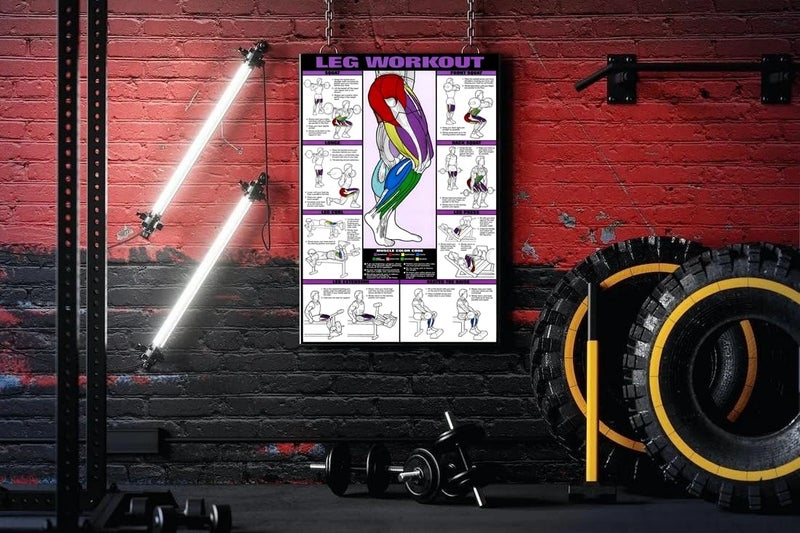 PIXELARTZ ملصق حائط أرجل وفخذين تحفيزي تمارين ورسوم توضيحية كمال الأجسام ملصقات جيم بجودة HD للمنزل، المكتب، الغرفة، جدار الجيم - متعدد الألوان (605) - Image 2