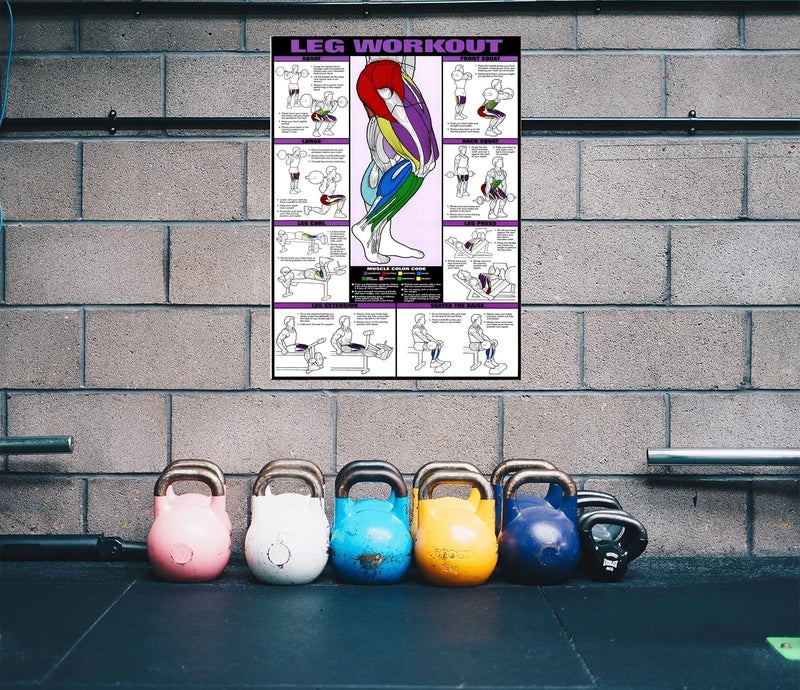 PIXELARTZ ملصق حائط أرجل وفخذين تحفيزي تمارين ورسوم توضيحية كمال الأجسام ملصقات جيم بجودة HD للمنزل، المكتب، الغرفة، جدار الجيم - متعدد الألوان (605) - Image 4