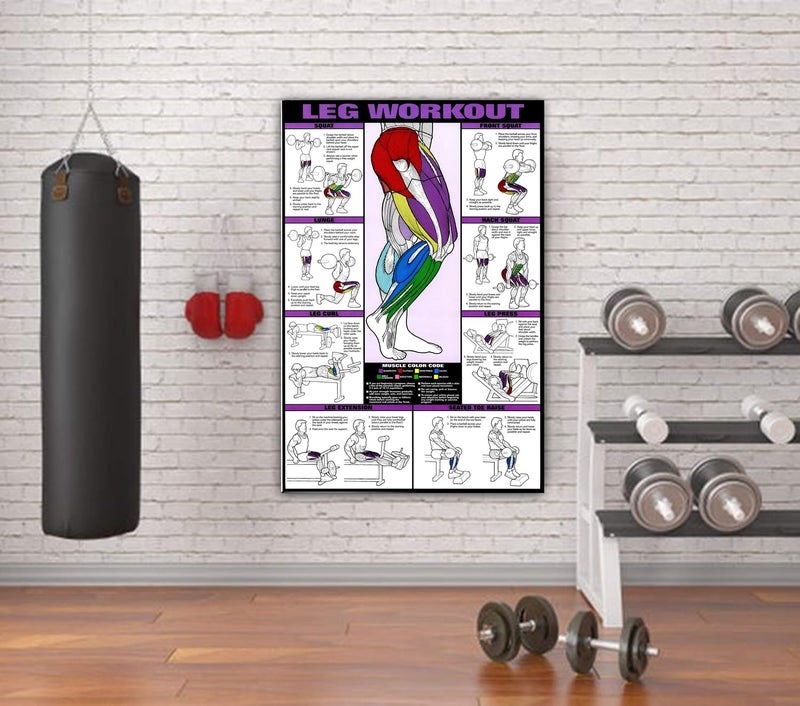 PIXELARTZ ملصق حائط أرجل وفخذين تحفيزي تمارين ورسوم توضيحية كمال الأجسام ملصقات جيم بجودة HD للمنزل، المكتب، الغرفة، جدار الجيم - متعدد الألوان (605) - Image 3