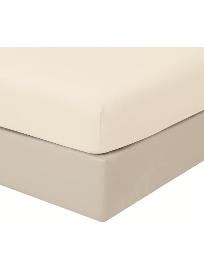 أورز مفرش صيفي فاخر من هورس بحشوة مثبتة مقاس كوين 4قطع - Image 5