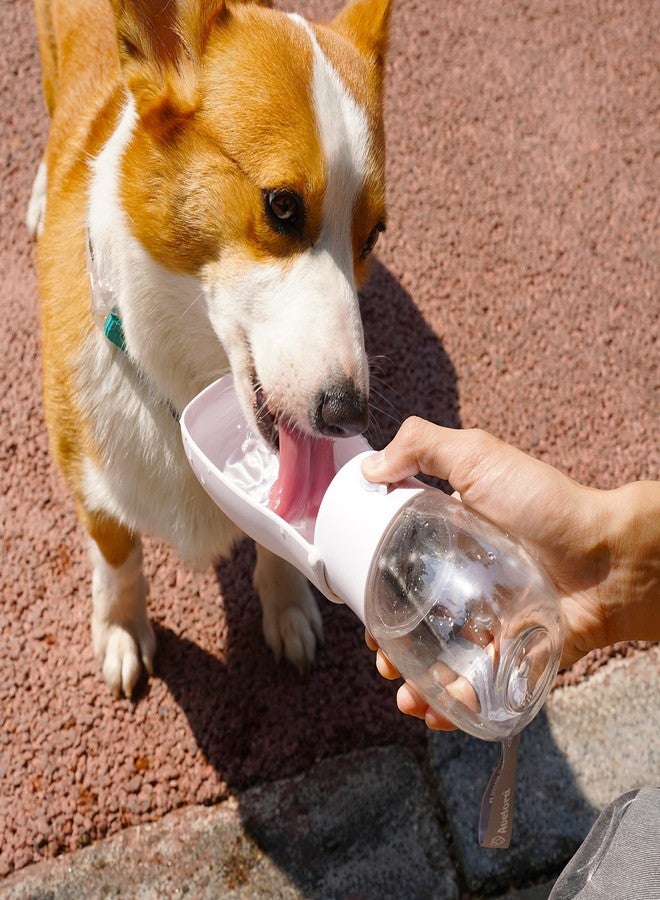 AVELORA Foldable Dog Water Bottle, Portable Water Dispenser for Dog, Cat, Rabbit, Puppy and Small Animals, Dishwasher Safe Pet Accessories for Walking, Hiking, Travel - Image 3