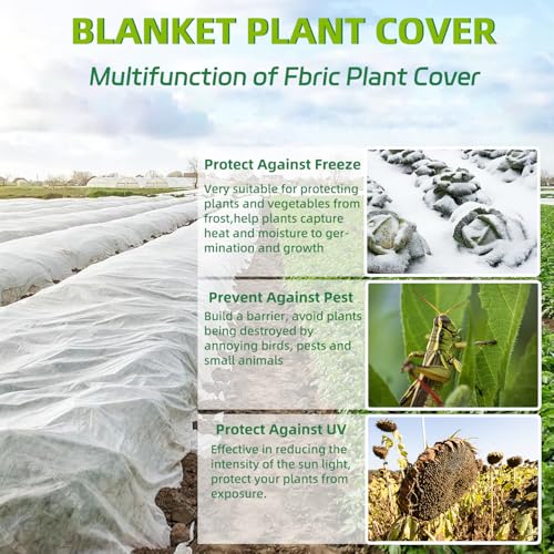 NANYEZH Plant Covers Freeze Protection, 10Ft x 30Ft Frost Blankets for Outdoor Plants, 0.9oz/yd² Garden Floating Row Fabric Cover, Raised Garden Bed Cover for Winter Vegetables, Pest, Sun Protection - Image 2