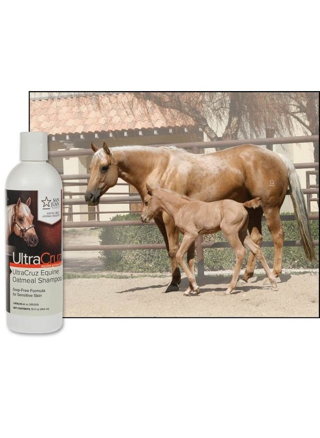 UltraCruz UltraCruz - sc-395309 Equine Oatmeal Horse Shampoo, 16 oz,white  - Image 3