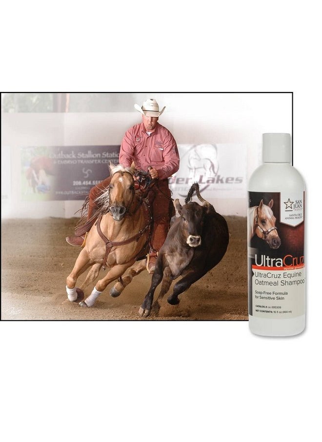 UltraCruz UltraCruz - sc-395309 Equine Oatmeal Horse Shampoo, 16 oz,white  - Image 2