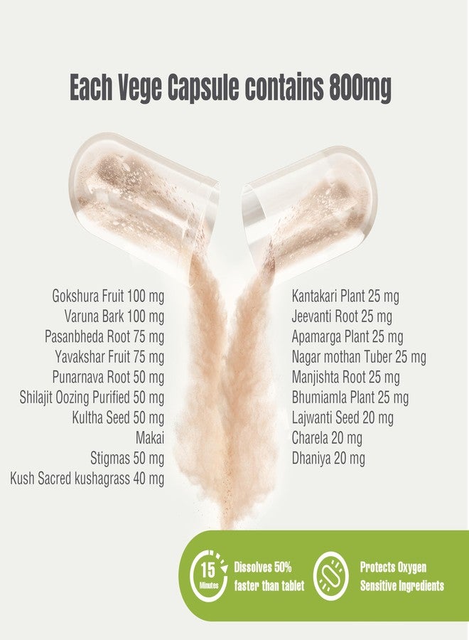 Herbsforever Uri-Flush Capsules Ayurvedic Herbal Supplement Support Healthy Kidney Function and Urinary Tract Function 90 Vege Capsules 800 Mg Each - Image 2