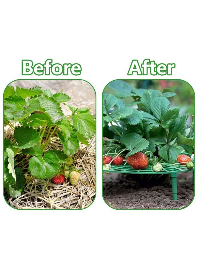Iceyyyy 5 Packs - [Strawberry] Plant Support, Growing Racks and Frame - Image 5