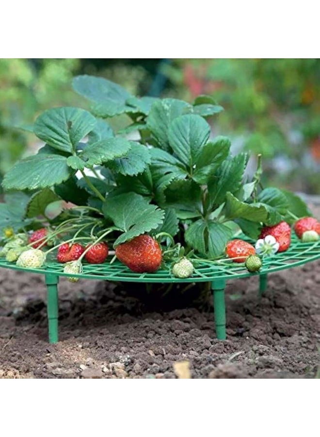 Iceyyyy 5 Packs - [Strawberry] Plant Support, Growing Racks and Frame - Image 1