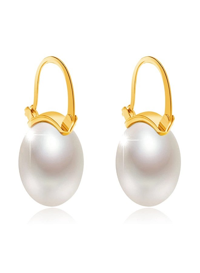 Kesaplan Pearl Earrings for Women Girls 14K Gold Plated Hypoallergenic Pearl Earrings 5A Cubic Zirconia Dangle Earrings Elegant Jewelry for Gifts - Image 1
