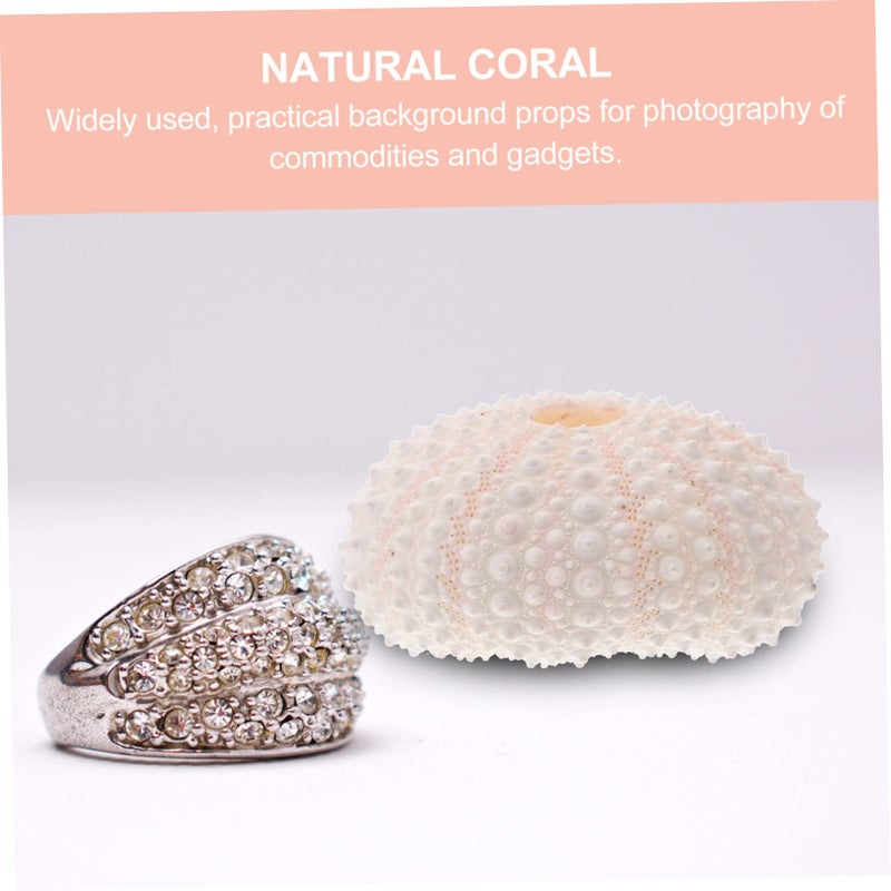 Natural Coral Conch Seashell Display Props For Nail Decoration Photography Party Decor - Image 5