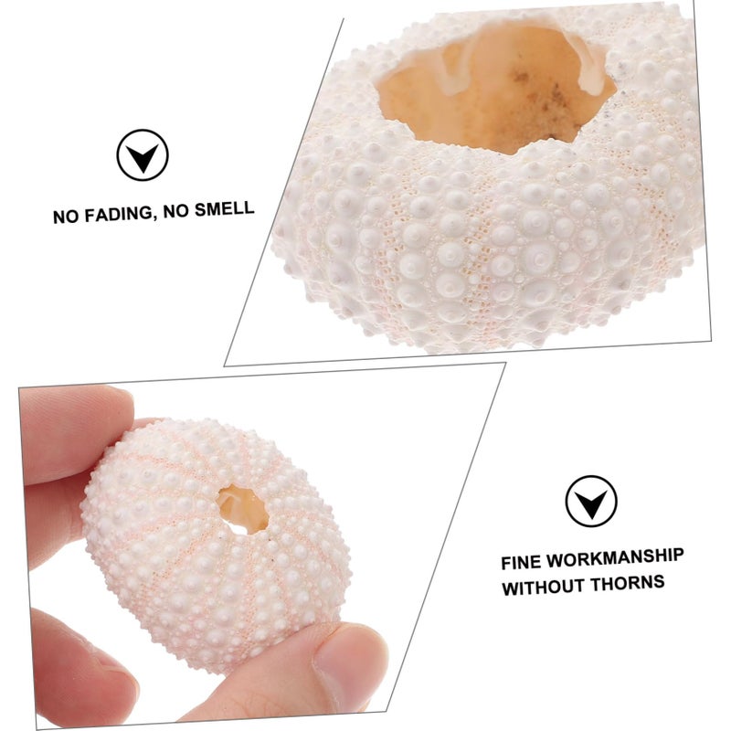 Natural Coral Conch Seashell Display Props For Nail Decoration Photography Party Decor - Image 3