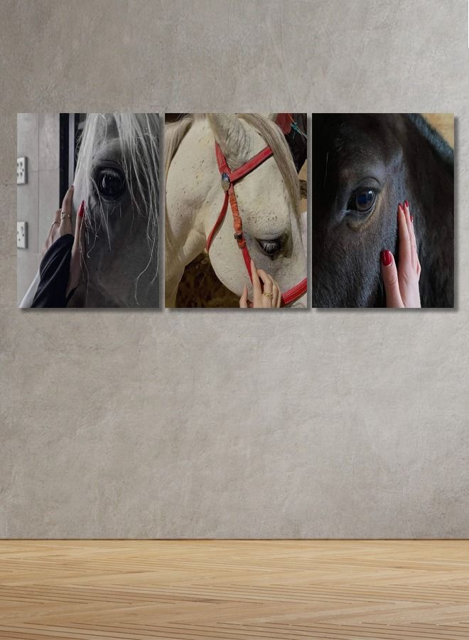 ماركتنا لوحة جدارية فنية لتزين الحائط بتصميم حصان، ثلاث قطع ،مقاس120X60سم - Image 1