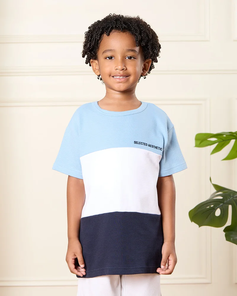 REDTAG Boys Multicolor Cut & Sew T-Shirt