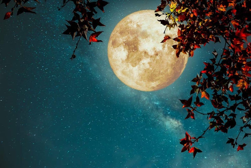 5 Ace full moon wall sticker poster,god,motivational,game(size:12x18 inch),multicolor - Image 5