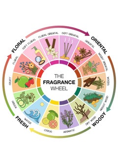 Fragrance Wheel Types Of Scent In Perfume Different Scent Types
