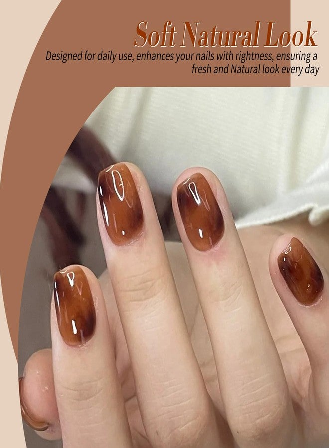 Born Pretty Jelly Gel Polish Fall Winter Brown Orange Burgundy Red Black - Image 4