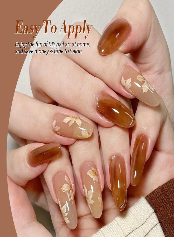 Born Pretty Jelly Gel Polish Fall Winter Brown Orange Burgundy Red Black - Image 3