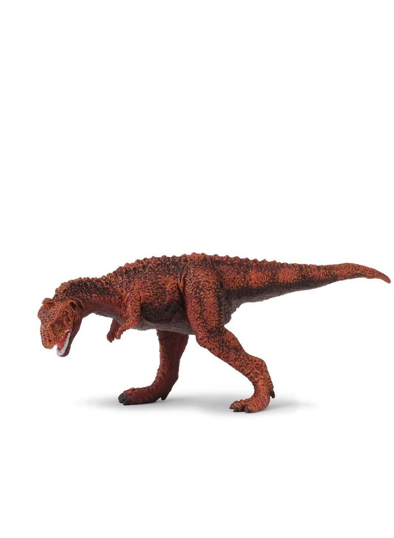 COLLECTA MAJUNGATHOLUS