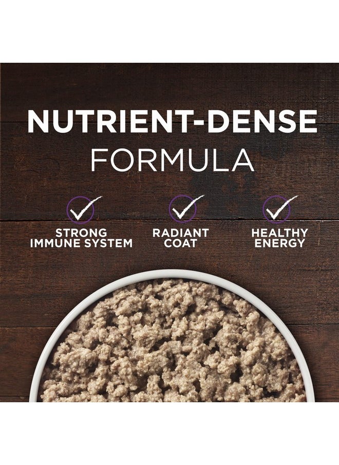 Purina ONE Wet Dog Food True Instinct Classic Ground GrainFree Formula With Real Beef And Bison High Protein Dog Food  (Pack Of 12) 13 Oz. Cans  - Image 2