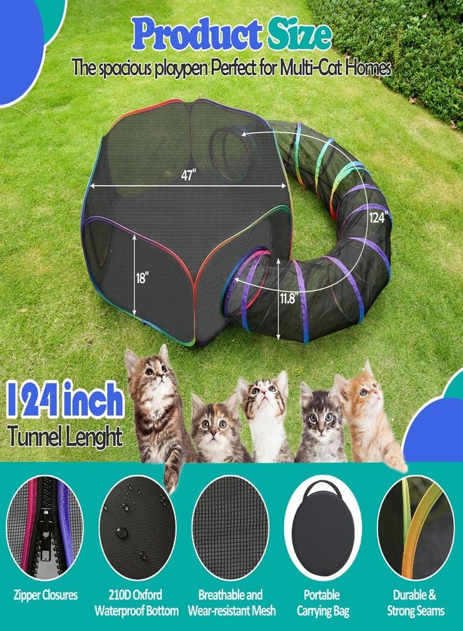 PLITTPETTS Outdoor Cat Enclosures, Portable Rainbow Catio Playground with Storage Bag & 4 Tent Stakes for Cats and Small Animals, Foldable Cat Playpen with Tunnel for Outside and Indoor Play - Image 2