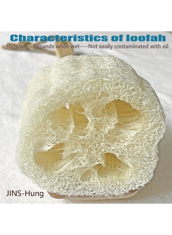 JINS-Hung 2-Pack Natural Loofah Exfoliating Bath Brush - Body luffa loofa Sponge On a Stick - Sponge Scrubber with Long Wooden Handle Back Brush for Men & Women - Bath Spa Shower - Image 5