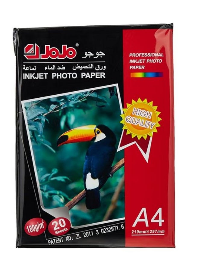 Jojo Glossy Photo Paper A4 Set Of 20 Paper 180 Gm - White