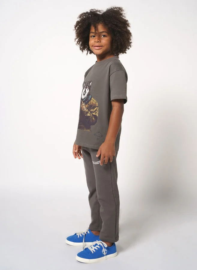 House Of Cenmar Grey T-Shirt With Wolf Artwork Print