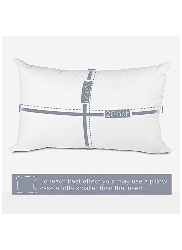 2 Piece Hypoallergenic Down Substitute Polyester Square Pillow Core 30X50 Cm  Best Buy Fluffy Cushions