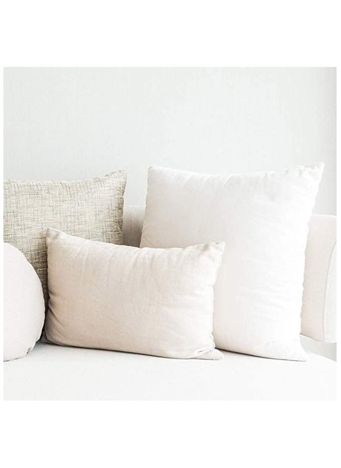 2 Piece Hypoallergenic Down Substitute Polyester Square Pillow Core 30X50 Cm  Best Buy Fluffy Cushions