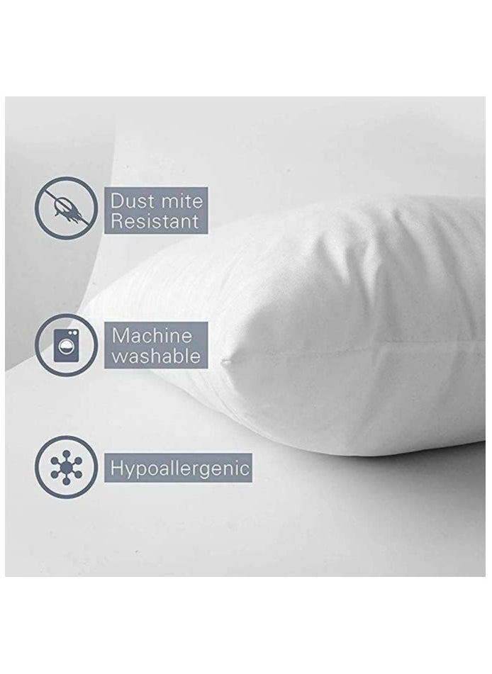2 Piece Hypoallergenic Down Substitute Polyester Square Pillow Core 30X50 Cm  Best Buy Fluffy Cushions