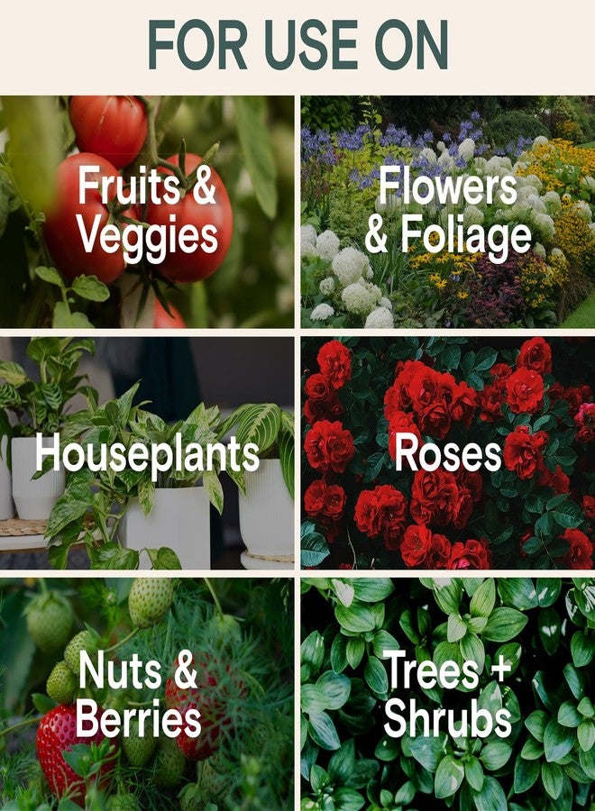 اربير سماد سائل عضوي للنباتات - للاستخدام الداخلي والخارجي للنباتات المنزلية والخضراوات والزهور ونباتات المونستيرا وشجرة المال - مدرج في قائمة OMRI، آمن على الملقحات - مزيج أسبوعي سهل (مجموعة التغذية والصحة) - Image 5