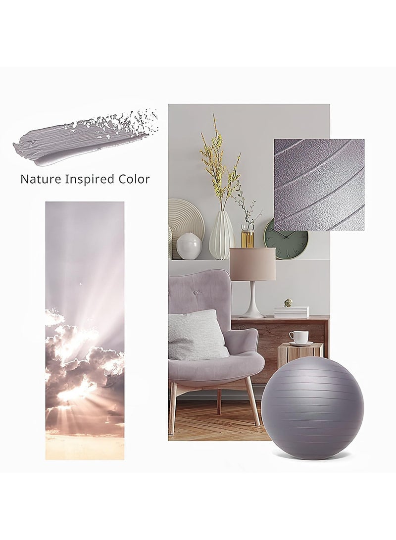 انفوسن كرة تمرين 65 و25 سم مع مضخة قدم سريعة مضادة للانفجار والانزلاق، كرسي كرة يوجا للتوازن والبيلاتس واليوغا والولادة والحمل وصالة الالعاب الرياضية والتدريب والعلاج الطبيعي (مقاسان) - Image 2