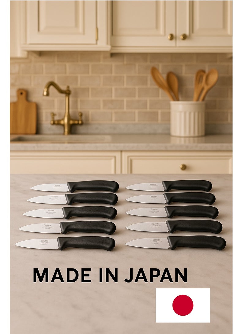Dania 12 Pieces Japanese Fruit Knives Set Black Stainless Steel - Image 5