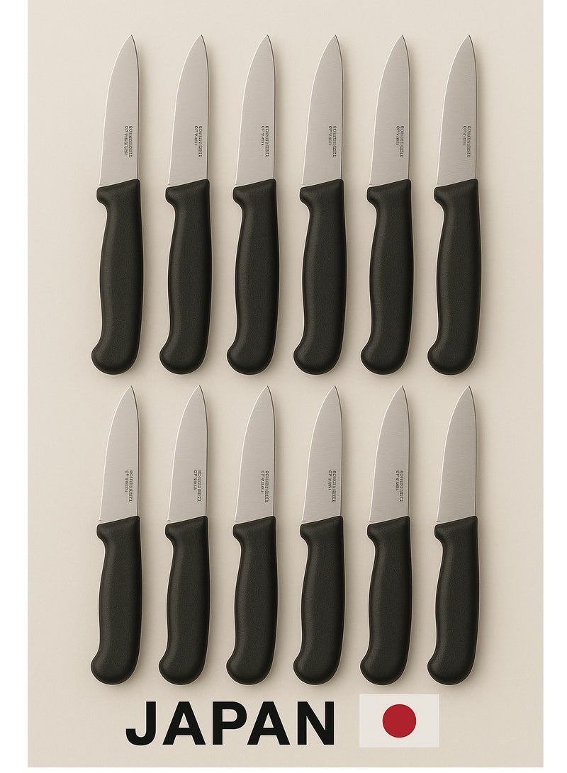 Dania 12 Pieces Japanese Fruit Knives Set Black Stainless Steel - Image 1