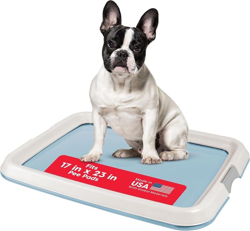 IrisUSA Pee Pad Holder - For Small Sized Dog and Puppy Pee Pads, Secured Latches, Non-Skid Feet, High Polish Finish for Easy Cleaning, Leak Protection, Fits 17"x23" Pad, Blue - Image 1