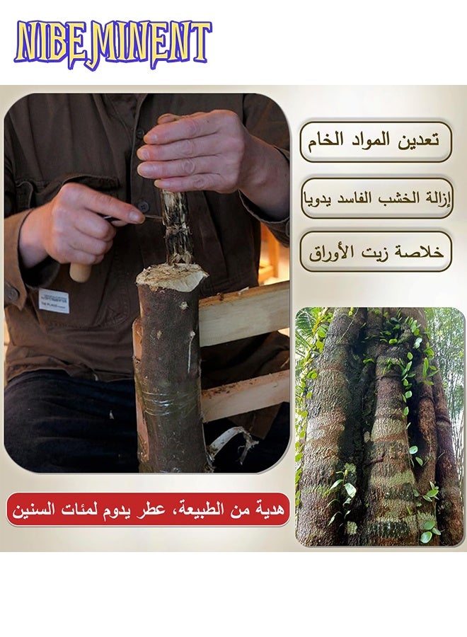 نيبمينينت 20 جرام من بخور العود الطبيعي النقي مادة خام من العود البري عالي الجودة مناسب للبخور المنزلي الداخلي والهدايا الراقية برائحة حلوة ورائحة ساحرة - Image 4